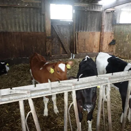 Urlaub Auf Dem Janssenhof Apartament Sankt Michaelisdonn